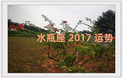 水瓶座 2017 运势